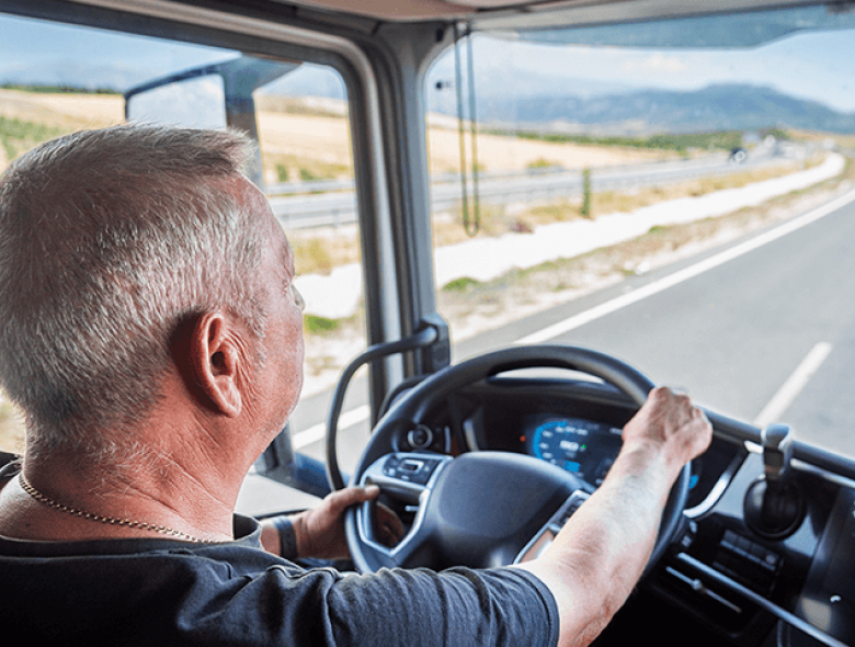 direção economica para caminhões